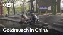 Goldrausch in China | DW News
