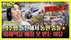 [하이라이트] 역주행해 농원을 덮친 차, 피해 금액이 1억 2천만 원 → 1천2백만 원으로 줄어들었다?? | 한블리 (한문철의 블랙박스 리뷰) | JTBC 260225 방송