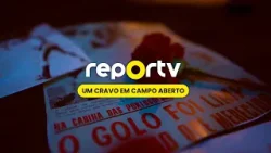 Reportv - Um cravo em campo aberto | sport tv