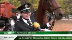 ТРИ БЪЛГАРСКИ ПОРОДИ КОНЕ: Отбелязаха в София 75 години от тяхното признаване