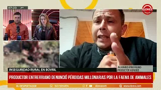 Entre Ríos producer reports multi-million peso losses due to animal slaughter - 09/26/16