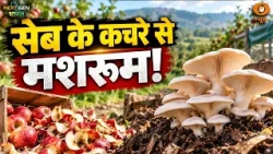 कश्मीर की खेती को नई दिशा दे रही युवा टेक्नोलॉजी | NextGen Bharat