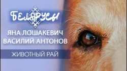 ЖИВОТНЫЙ РАЙ: Как два директора воплощают мечты в жизнь