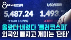 '롤러코스피'까지 등장…외국인 빠지는 사이 개미 '단타' / SBS 8뉴스