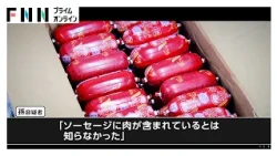「アフリカ豚熱」水際で阻止 ソーセージ密輸の実態 探知犬が反応し母親の手作りスープも廃棄処分に 関西空港（2026年10月29日）
