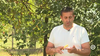 NOVA - USKORO NOVO VODOIZVORIŠTE, Marija Mašović (28.06.2026.)