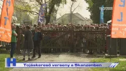 Tojáskereső verseny a Skanzenben – ZTV Híradó 2026-04-03