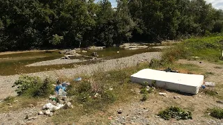 Guska humb përsëri pastërtinë nga hudhja e mbeturinave