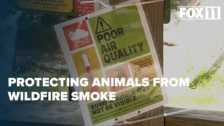 Zoo keeps animals inside to protect against wildfire smoke