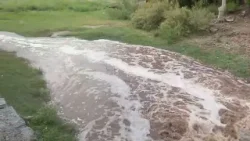 Temporal en Valle Fértil