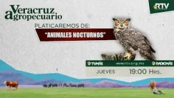 Veracruz Agropecuario - Animales Nocturnos Veracruz Agropecuario - Animales Nocturnos