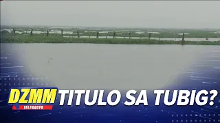 Ilang lugar sa Laguna de Bay na lubog sa tubig natitulohan na - Ping | DZMM TeleRadyo