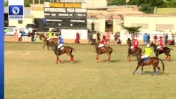 How Kano Horse Culture Is Driving Interest In Polo, Creates New Economic Opportunities