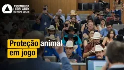 RODEIOS | Sustentabilidade e bem-estar animal entram em debate na Assembleia