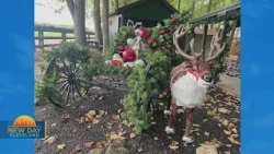 New Day Cleveland: Christmas in the Woods