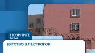 Заловиха 12-те мигранти, избягали от центъра в Пъстрогор | 29 авг. 2026