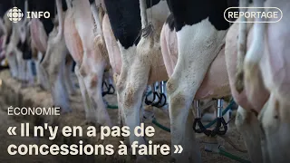 Negotiations with the US: Dairy farmers worried about supply management