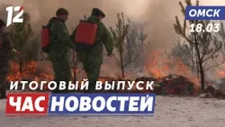 Противостояние природным стихиям / Спасли собаку / Аварийный дом. Новости Омска