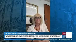 DTV En Comisión con Jose Di Mauro- Programa 24/02/2026