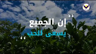 إن الجميع يسعى للحب