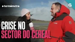 CRISE no SECTOR do CEREAL | O TERMÓMETRO