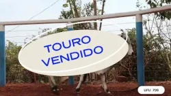 TOURO UFU 709