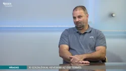 30 százalékkal kevesebb az idei termés