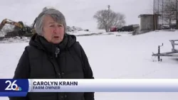 'And there's the cow': Drone operator finds pregnant cow missing after barn fire