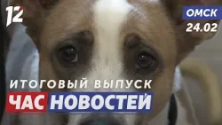 Брошенная собака ищет дом / Битва умов началась! / МЧС напоминает о безопасности. Новости Омска Брошенная собака ищет дом / Битва умов началась! / МЧС напоминает о безопасности. Новости Омска