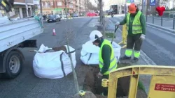 Noves estructures d'ombra a la plaça de la Torre del Palau i a la de Lluís Companys