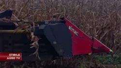 Pitfalls in grain sales contracts! 10/19/2026