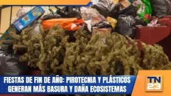 Fiestas de fin de año: Pirotecnia y plásticos generan más basura y daña ecosistemas
