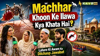 What Else Do Mosquitoes Eat Besides Blood? Interesting Responses from the People of Lahore | Kay2TV