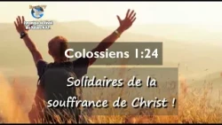 Colossians 1:24 - Standing in Solidarity with the Suffering of Christ! - VERSE OF THE DAY - Proph...