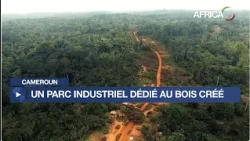 Cameroun : SME’s WOOD’S PARK, le premier parc industriel dédié aux PME de la filière bois
