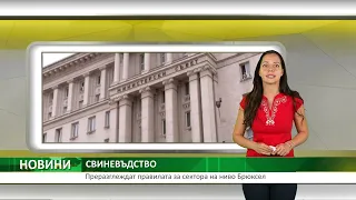 СВИНЕВЪДСТВО: Преразглеждат правилата за сектора на ниво Брюксел