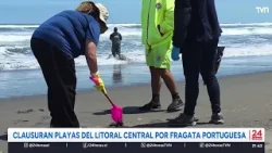 Clausuran playas del litoral por fragata portuguesa | 24 Horas TVN Chile