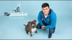 Ako zvládnuť problémového psa ktorý stratil rešpekt? ? | Neposlušní