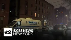 75-year-old man fatally slashed in Queens apartment building 75-year-old man fatally slashed in Queens apartment building