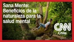 Sana Mente: Beneficios de la naturaleza para la salud mental