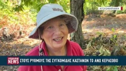 Στους ρυθμούς της συγκομιδής των καστάνων το Άνω Κεράσοβο Αγρινίου