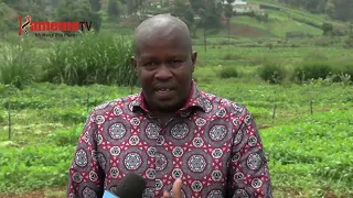 Arimi mwena wa Kabete guteta makiuga matiakuruhanirio mubangoini wa utheria wa njui ciao