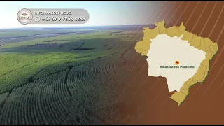 Terralmo 34: Farm for sale in Ribas do Rio Pardo/MS