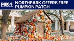 Northpark Center Park transforms into an autumn destination