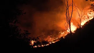 ‘The horizon was just red’: Logan neighbors reflect on Canyon Road Fire