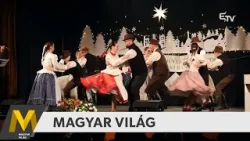 Magyar Világ: magyar kultúra napja, Torda újratelepítése, Kassai Aranykincs