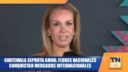Guatemala exporta amor: flores nacionales conquistan mercados internacionales