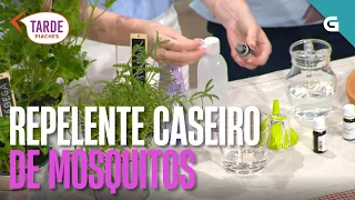 Repelente caseiro de mosquitos con Enia Gándara! | TARDE PIACHES