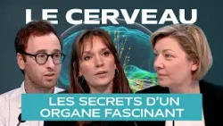 Dans les secrets du cerveau humain - Labo4