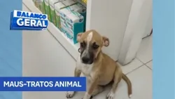 Homem abandona filhote com boca amarrada dentro de mala